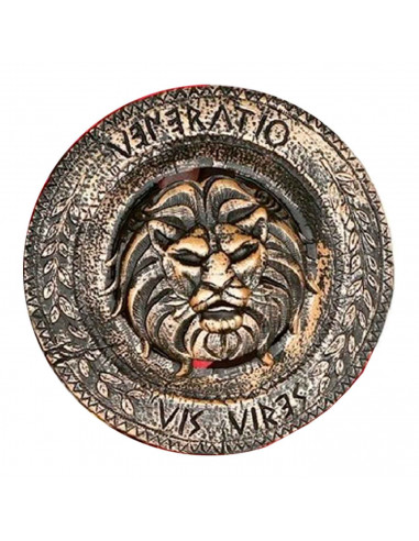 Tradineur - Set de escudo y espada infantil con grabado de león, para Arde Lucus, halloween y celebraciones. Tamaño set: 49 x 30