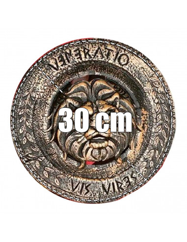 Tradineur - Set de escudo y espada infantil con grabado de león, para Arde Lucus, halloween y celebraciones. Tamaño set: 49 x 30