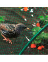 Tradineur - Malla anti pájaros de PE, red de protección contra animales, aves para frutas, plantas, árboles, jardín, huerto, cul
