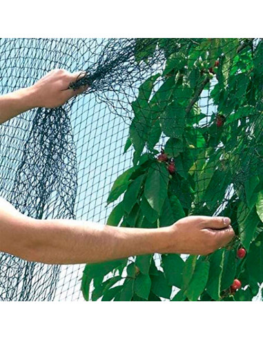 Tradineur - Malla anti pájaros de PE, red de protección contra animales, aves para frutas, plantas, árboles, jardín, huerto, cul