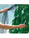 Tradineur - Malla anti pájaros, polietileno, red de protección contra animales, aves para plantas, árboles, jardín, huerto, cult