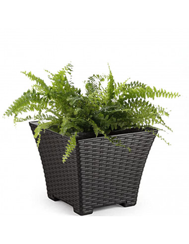 Tradineur - Maceta de plástico cuadrada Rattan, macetero, tiesto, recipiente para plantas, flores, balcón, terraza, jardín, 30,5
