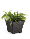 Tradineur - Maceta de plástico cuadrada Rattan, macetero, tiesto, recipiente para plantas, flores, balcón, terraza, jardín, 30,5