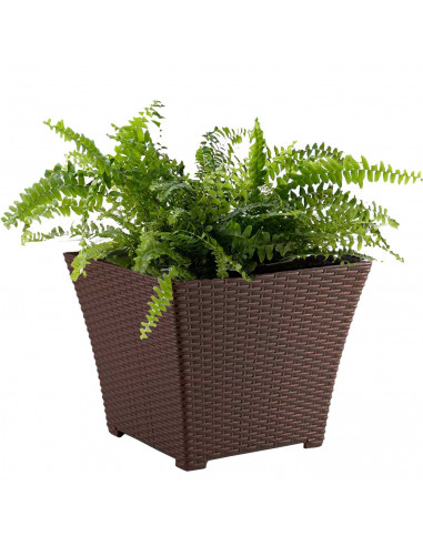 Tradineur - Maceta Rattan cuadrada de plástico, macetero, tiesto, recipiente para plantas, flores, balcón, terraza, jardín (Weng