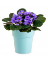Tradineur - Maceta con aro desmontable redonda, plástico, macetero, tiesto para plantas, flores, balcón, terraza, hogar, 4 litro