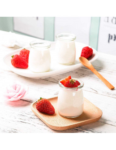 Tradineur - Bote de vidrio con tapa de plástico para yogurtera, frasco, tarro rellenable para preparar yogures, natillas, potito