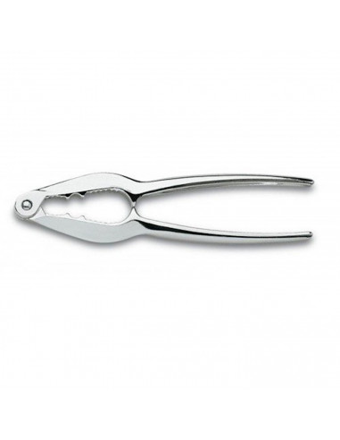 Tradineur - Cascanueces metálico de 15 x 3 cm también valido para abrir marisco. Pinza para romper cascaras de alimentos. Tenaza