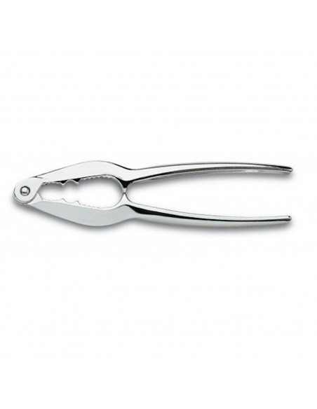 Tradineur - Cascanueces metálico de 15 x 3 cm también valido para abrir marisco. Pinza para romper cascaras de alimentos. Tenaza