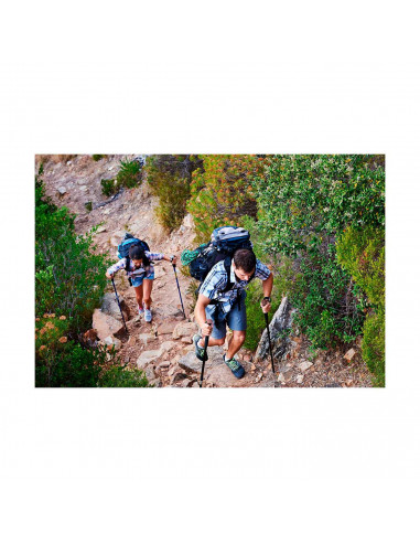 Tradineur - Bastones de trekking, palos de senderismo telescópicos, aluminio, ultraligeros, extensibles, antichoque, alpinismo,