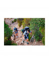 Tradineur - Bastones de trekking, palos de senderismo telescópicos, aluminio, ultraligeros, extensibles, antichoque, alpinismo,
