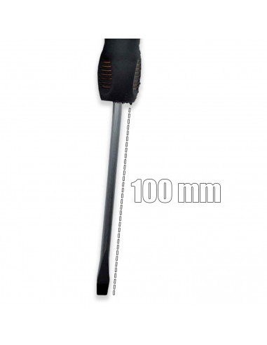 Tradineur - Destornillador plano 5 x 100 mm - herramienta manual - bricolaje y montaje - Punta Magnética - Acero Inoxidable.