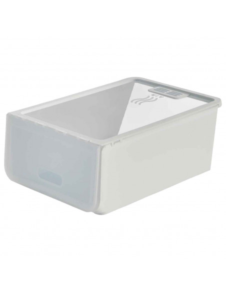 Tradineur - Caja de zapatos - Fabricado en plástico - Ideal para la organización y guardado de calzados - 14 x 23,7 x 34,5 cm -