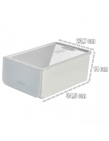 Tradineur - Caja de zapatos - Fabricado en plástico - Ideal para la organización y guardado de calzados - 14 x 23,7 x 34,5 cm -