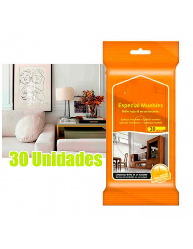 Tradineur - Toallitas especiales limpia muebles - Envase con tapa para su fácil utilización - Incluye 30 Toallas.