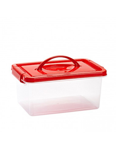 Plastic Forte - Caja de plástico con tapa de color surtido y asa, de 29  x 18,5  x 13 cm, 4 litrosl. Baúl con tapa para organiza