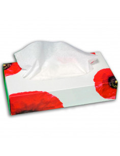 Tradineur - Caja de 80 pañuelos blancos de papel, doble capa, extra suaves, pañuelos faciales, resfriados, limpieza del hogar, 2