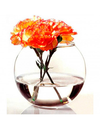 Tradineur - Pecera redonda de cristal, acuario globo pequeño para peces, esférico, transparente, interior, hogar, 23 x 18 cm