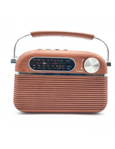 Tradineur - Radio vintage "Blues" clásico con asa - Sintonizador AM/FM/SW - Sintonizador con Indicador - Batería recargable - Bl
