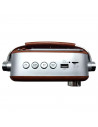 Tradineur - Radio vintage "Blues" clásico con asa - Sintonizador AM/FM/SW - Sintonizador con Indicador - Batería recargable - Bl