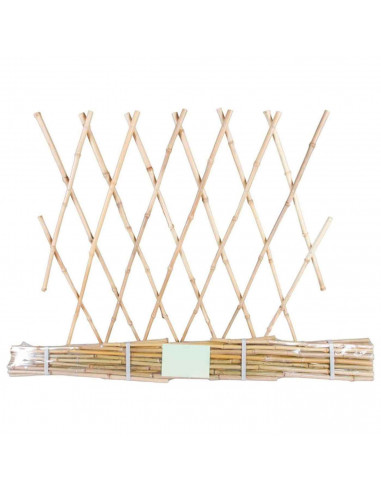 Tradineur - Celosía de madera 60 x 180 cm Barrera de madera plegable - Fabricado en madera - Fácil de instalar - Barrera para ca