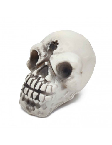 Tradineur - Calavera para Halloween - Fabricado en plástico - Adorno para decoración - 15 x 9,5 x 10 cm - Color Marfil 