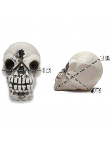 Tradineur - Calavera para Halloween - Fabricado en plástico - Adorno para decoración - 15 x 9,5 x 10 cm - Color Marfil 