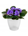 Tradineur - Maceta de plástico transparente - Macetero, tiesto para plantas, flores, balcón, terraza, hogar - Ø 21,1 x 17.2 cm