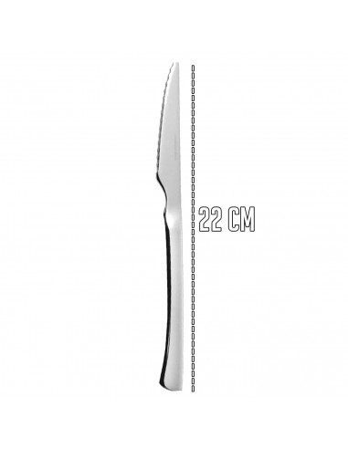 Tradineur - Set de 2 cuchillos chuleteros - Fabricado en acero inoxidable - Ideal para cortar alimentos - 22 x 1,7 x 0,6 cm