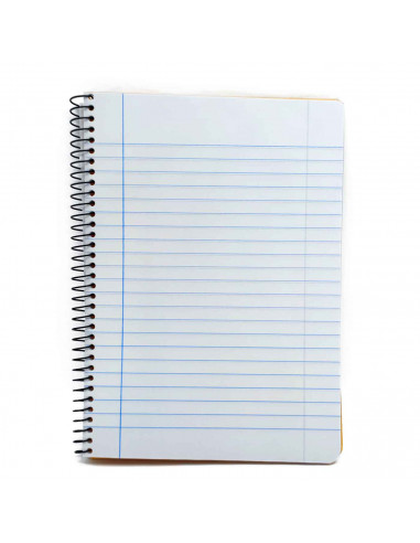 Tradineur - Pack de 4 libretas rayadas - 80 páginas (90 gr) - Encuadernación en espiral - Tapa dura - 21,6 x 15,5 cm - Colores S