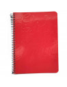 Tradineur - Pack de 4 libretas rayadas - 80 páginas - Cuaderno en espiral - Tapa blanda - 21,5 x 15,6 cm - Colores Surtido