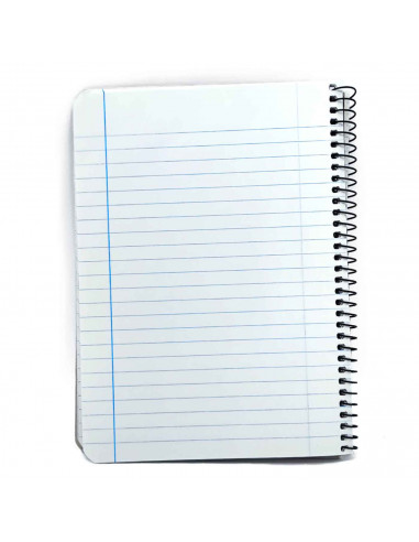 Tradineur - Pack de 4 libretas rayadas - 80 páginas - Cuaderno en espiral - Tapa blanda - 21,5 x 15,6 cm - Colores Surtido