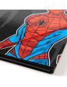 Tradineur - Carpeta de Spiderman, de cartón resistente, con solapas y 2 gomas, ideal para el curso escolar. Medidas 34,3 x 26,4