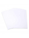 Tradineur - Pack de 4 blocks de 12 cartulinas - Color blanco - Tamaño/Formato A4 - Ideal para que los niños hagan manualidades e