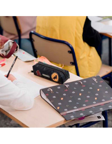 Tradineur - Estuche rectangular para el curso escolar de Harry Potter con los logos de las casas de Hogwarts y cierre de cremall