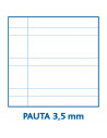 Tradineur - Pack de 5 cuadernos de pauta, tamaño 4º, tapas de cartón, encuadernación de espiral, 80 hojas, 21,5 x 15 cm, colores