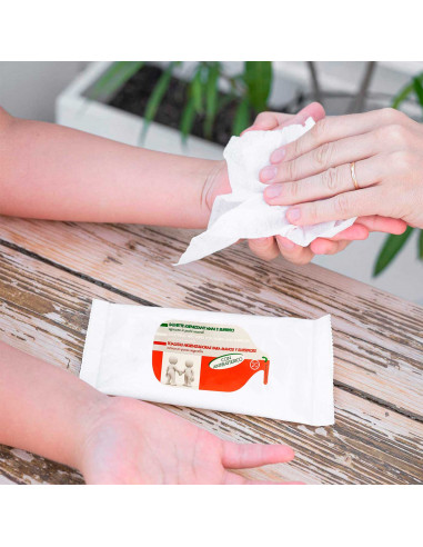 Tradineur - Toallitas húmedas higienizantes para manos y limpieza de superficies, acción antibacteriana, perfumadas, 20 uds