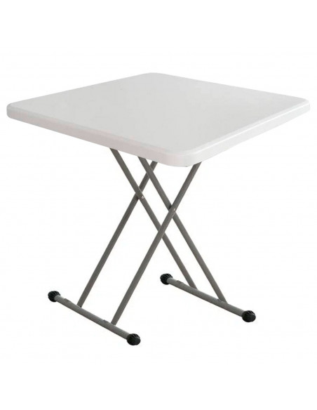 Tradineur - Mesa plegable con estructura de metal y plástico, altura fija, patas antideslizantes, portátil, jardín, camping, hog