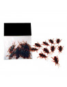 Tradineur - Pack de cucarachas para Halloween - 9 Unidades - Gran diseño - Decoración y accesorio para Halloween - Color Negro