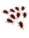 Tradineur - Pack de cucarachas para Halloween - 9 Unidades - Gran diseño - Decoración y accesorio para Halloween - Color Negro