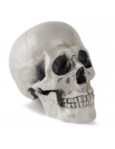 Tradineur - Calavera de Halloween - Fabricado en plástico - Ideal para decoración - 19 x 13 x 17 cm - Color Blanco roto