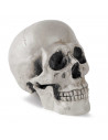 Tradineur - Calavera de Halloween - Fabricado en plástico - Ideal para decoración - 19 x 13 x 17 cm - Color Blanco roto