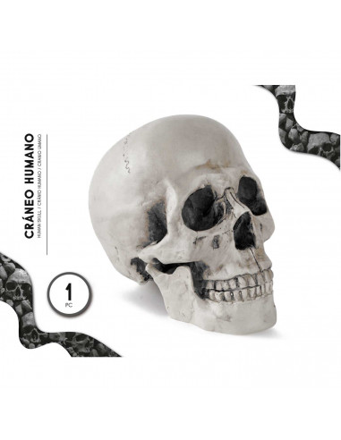 Tradineur - Calavera de Halloween - Fabricado en plástico - Ideal para decoración - 19 x 13 x 17 cm - Color Blanco roto