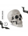 Tradineur - Calavera de Halloween - Fabricado en plástico - Ideal para decoración - 19 x 13 x 17 cm - Color Blanco roto