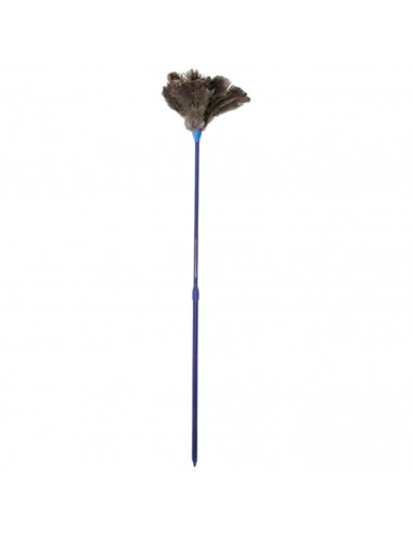 Tradineur - Plumero extensible premium con plumas de avestruz más largas - Extensible de 58 a 103 cm - Perfecto para limpiar zon