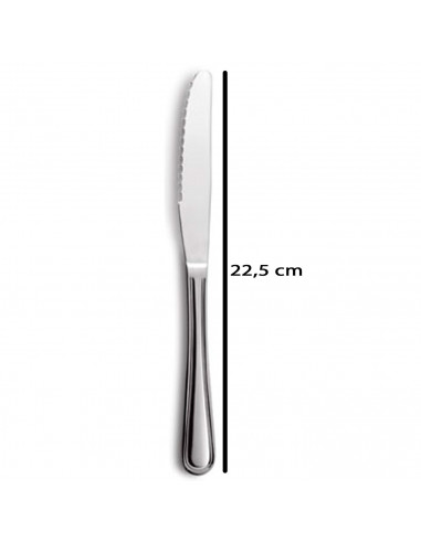 Tradineur - Set de 2 cuchillos de mesa para carne, acero inoxidable, cubiertos clásicos con hoja de sierra, aptos para lavavajil