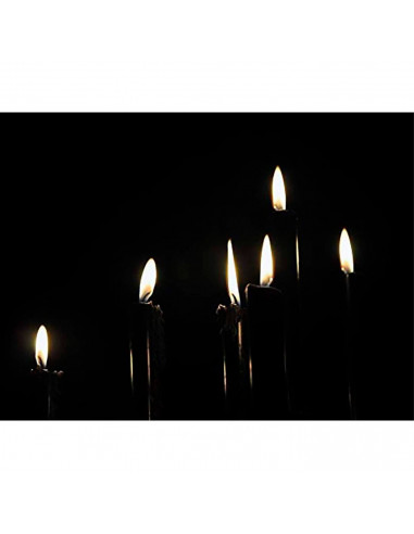 Tradineur - Pack de 4 velas alargadas, cirios de mesa cilíndricos, parafina y mecha de algodón, sin perfume, rituales y ceremoni