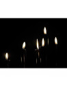 Tradineur - Pack de 4 velas alargadas, cirios de mesa cilíndricos, parafina y mecha de algodón, sin perfume, rituales y ceremoni