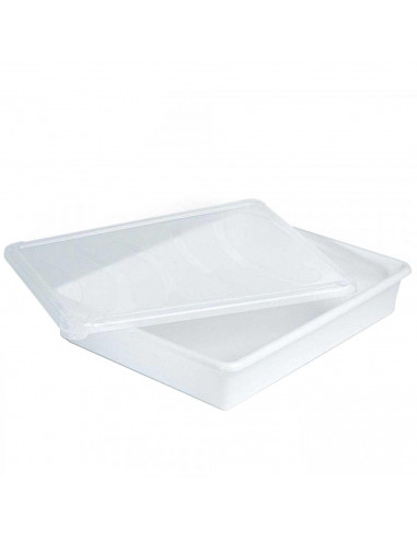 Tradineur - Bandeja almacenamiento con tapa para frigorífico - 3 litros - 6,5 x 34 x 27 cm - Transparente
