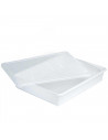 Tradineur - Bandeja almacenamiento con tapa para frigorífico - 3 litros - 6,5 x 34 x 27 cm - Transparente