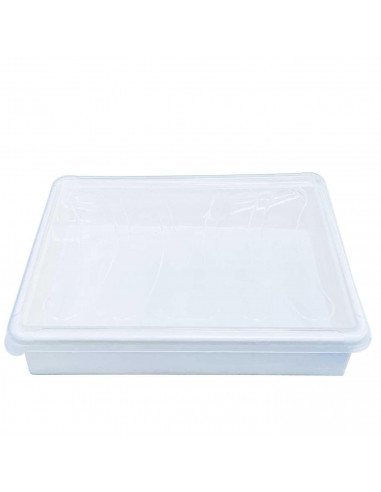 Tradineur - Bandeja almacenamiento con tapa para frigorífico - 3 litros - 6,5 x 34 x 27 cm - Transparente